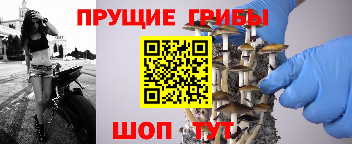 Галлюциногенные грибы Magic Shrooms Дедовск