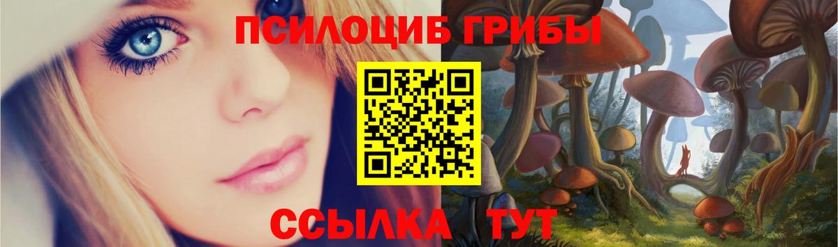 как найти наркотики  Вход с VPN  Галлюциногенные грибы ЛСД  Дедовск  Галлюциногенные грибы Cubensis 